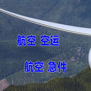 义勒力特空运代理快递-选东方航空和上海航空
