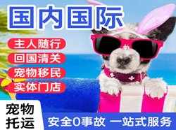 义勒力特空运代理国际宠物托运 【国